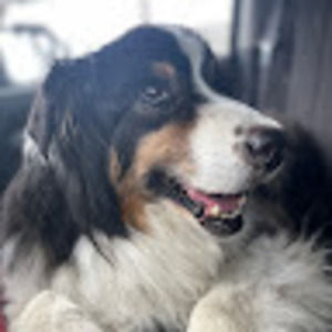 Meet your Posher, Mike